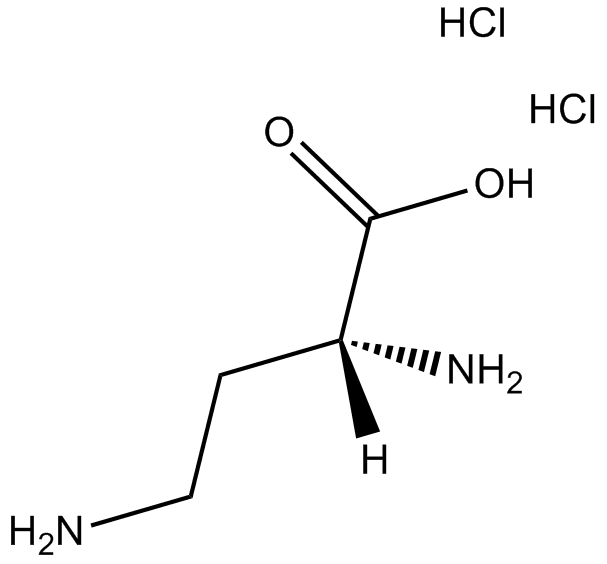 H-D-Dab-OH,2HClͼƬ