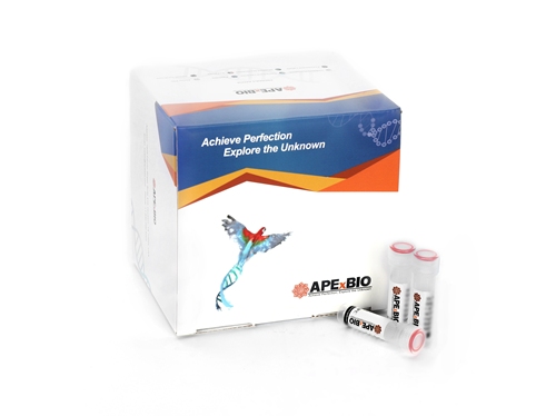 EdU Flow Cytometry Assay Kits(488)ͼƬ