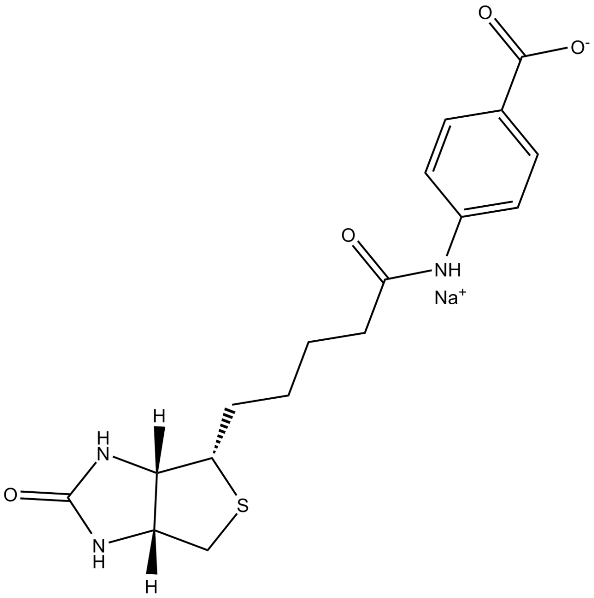 (+)-Biotin 4-Amidobenzoic Acid(sodium salt)ͼƬ