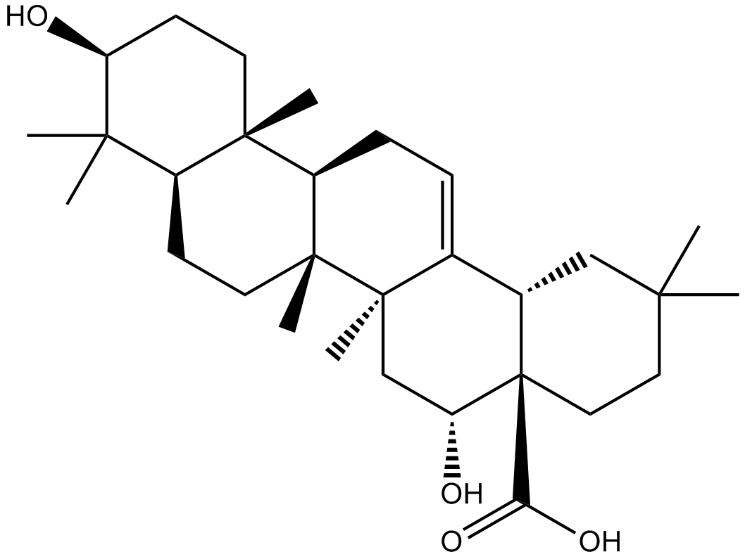 Echinocystic acidͼƬ