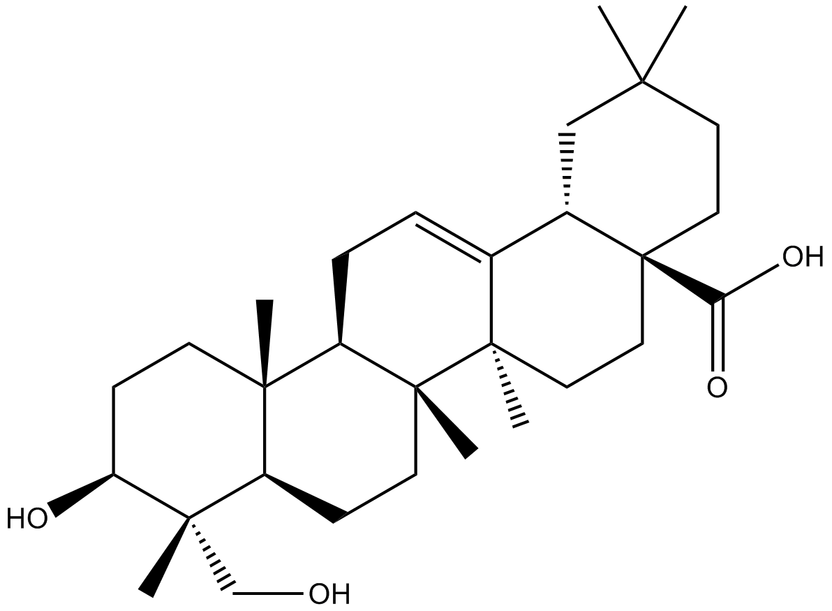 HederageninͼƬ