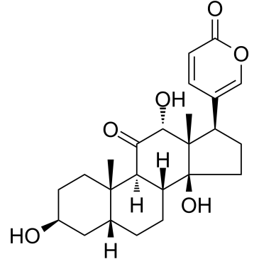 Pseudobufarenogin(-Bufarenogin)ͼƬ