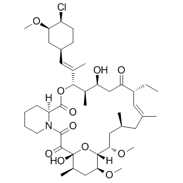 Pimecrolimus(SDZ-ASM 981)ͼƬ