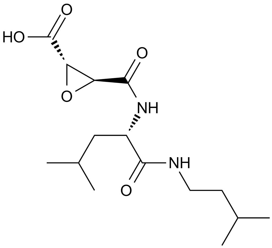 E-64-cͼƬ