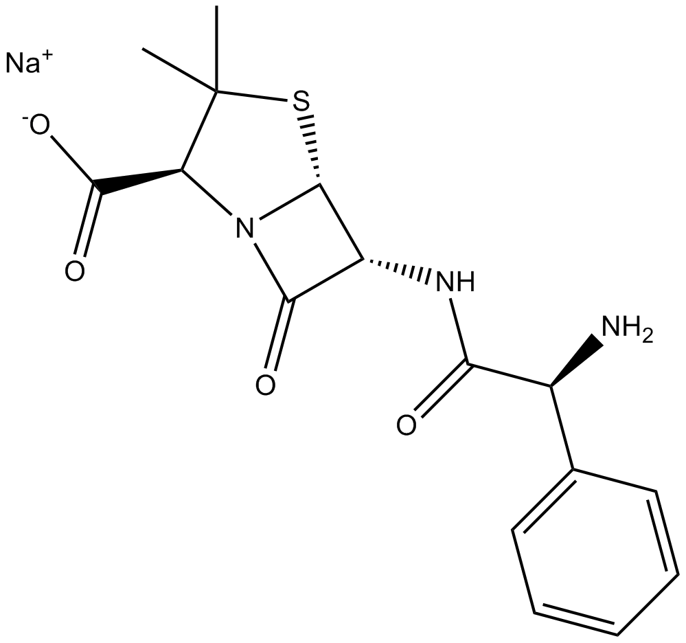 Ampicillin sodiumͼƬ