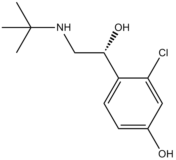 HOKU-81ͼƬ