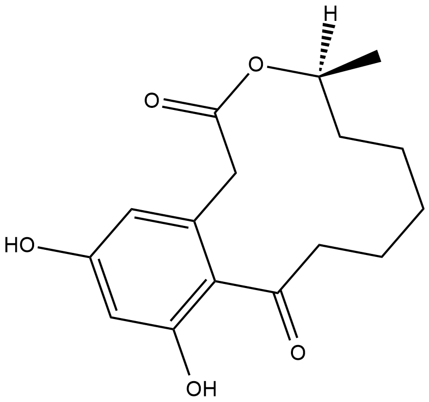 CurvularinͼƬ