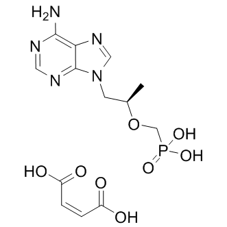 Tenofovir maleateͼƬ