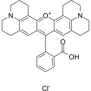 Rhodamine 101 chlorideͼƬ