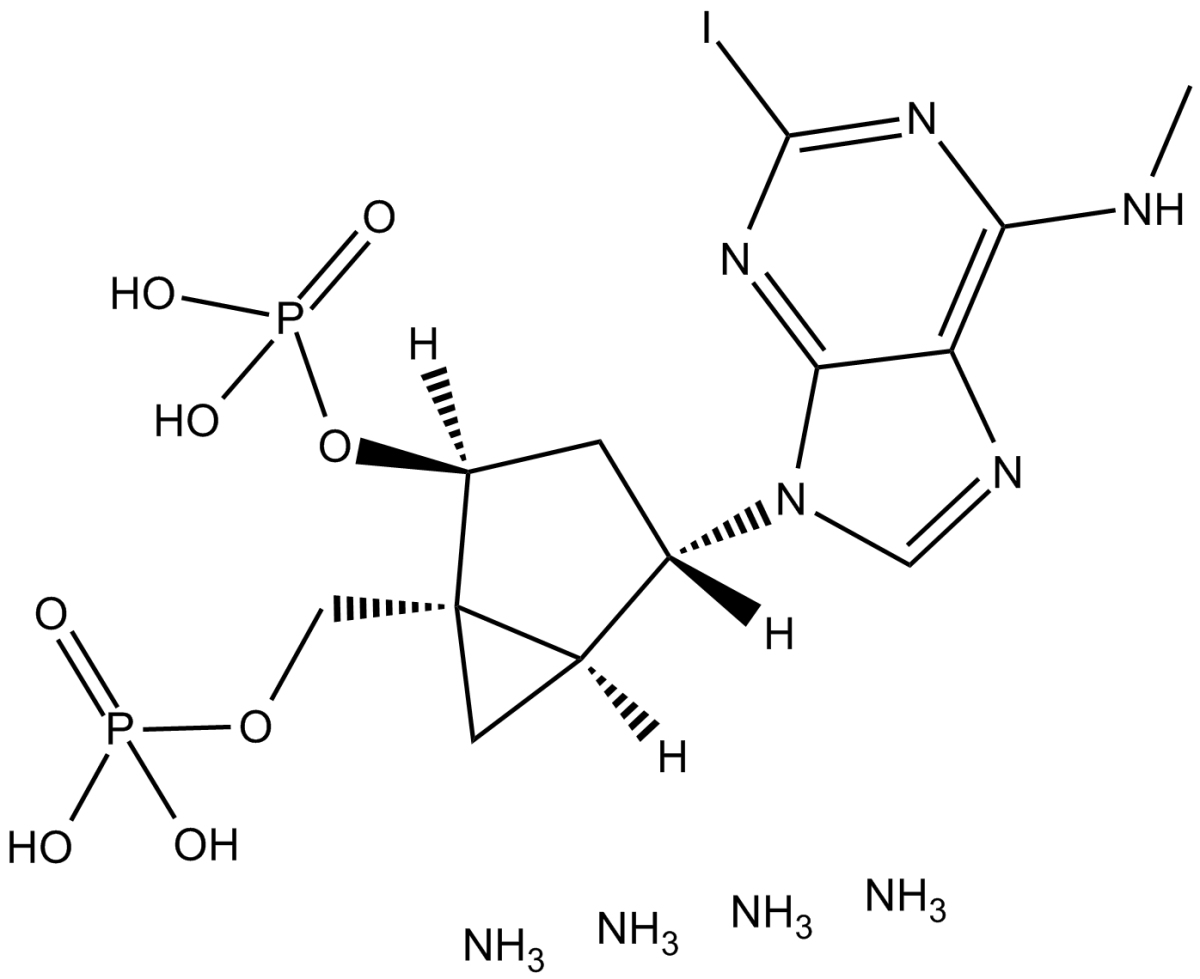 MRS 2500 tetraammonium saltͼƬ