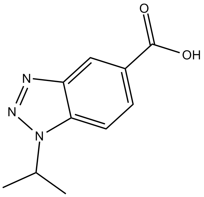 IBC 293ͼƬ