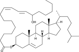 (±)13-HODE cholesteryl esterͼƬ