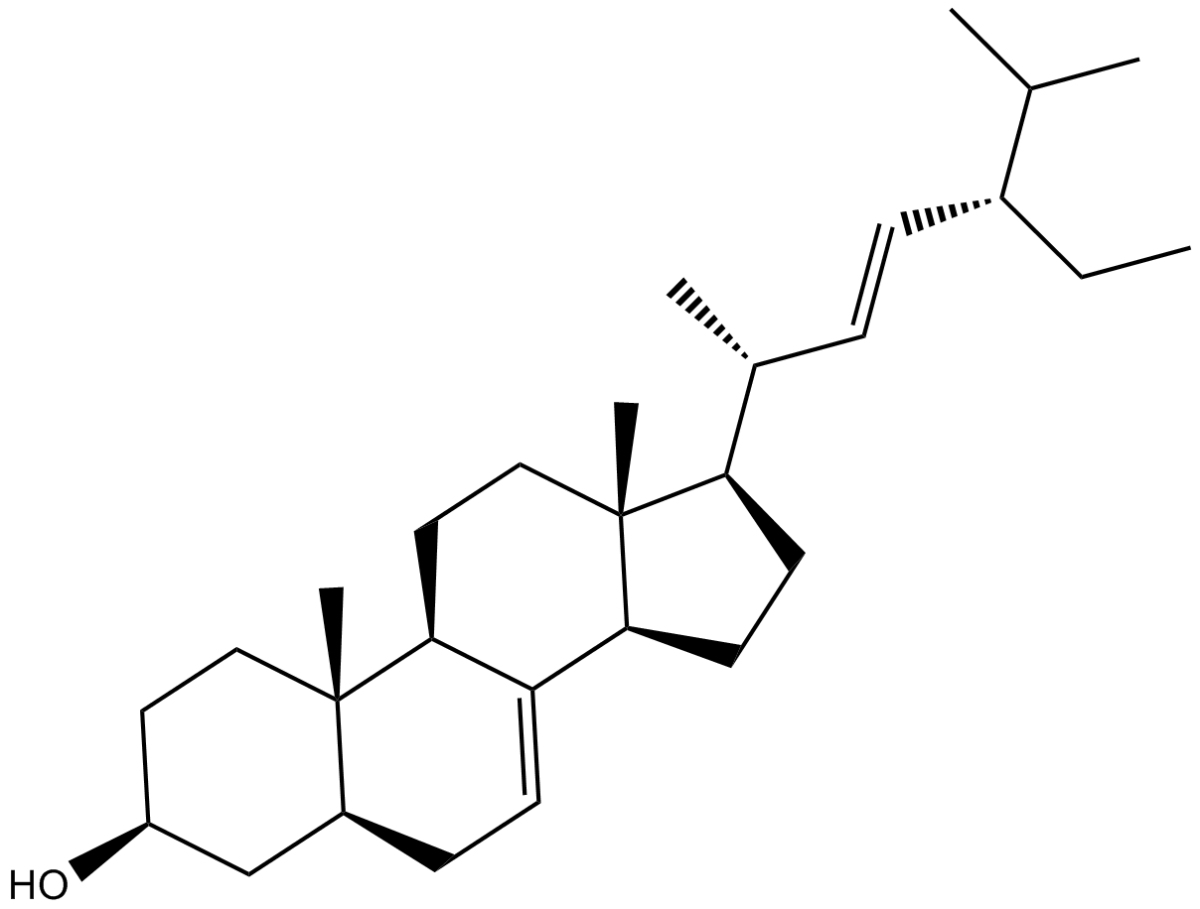 α-SpinasterolͼƬ