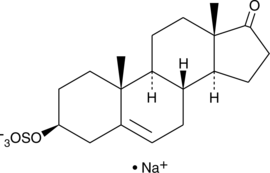 Dehydroepiandrosterone Sulfate(sodium salt)ͼƬ