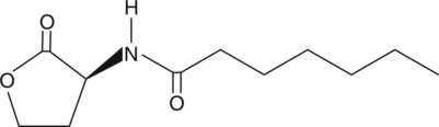 N-heptanoyl-L-Homoserine lactoneͼƬ