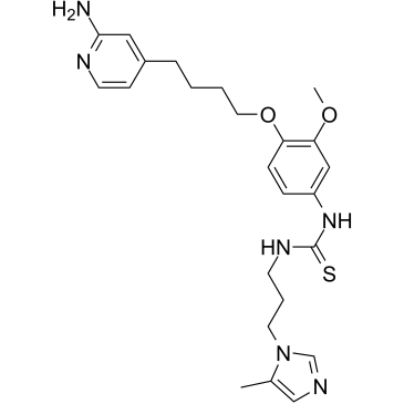 Glutaminyl Cyclase Inhibitor 3ͼƬ