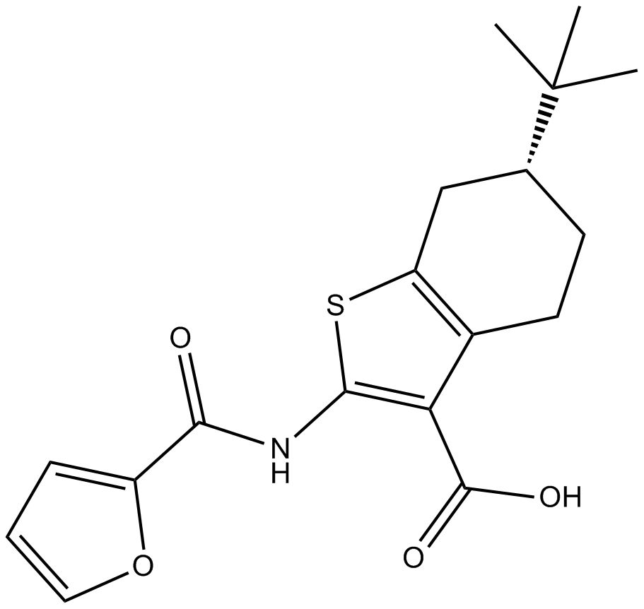 CaCCinh-A01ͼƬ