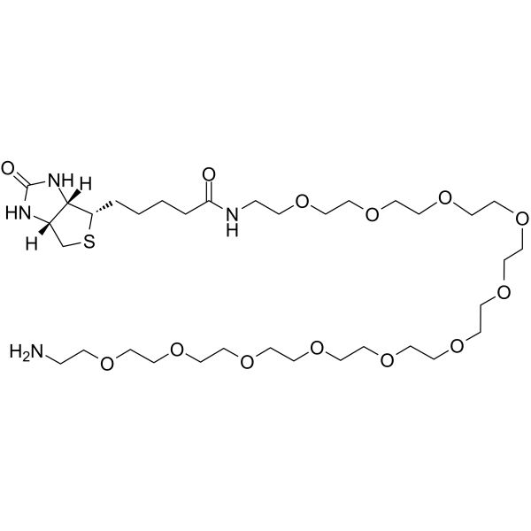 Biotin-PEG11-AmineͼƬ