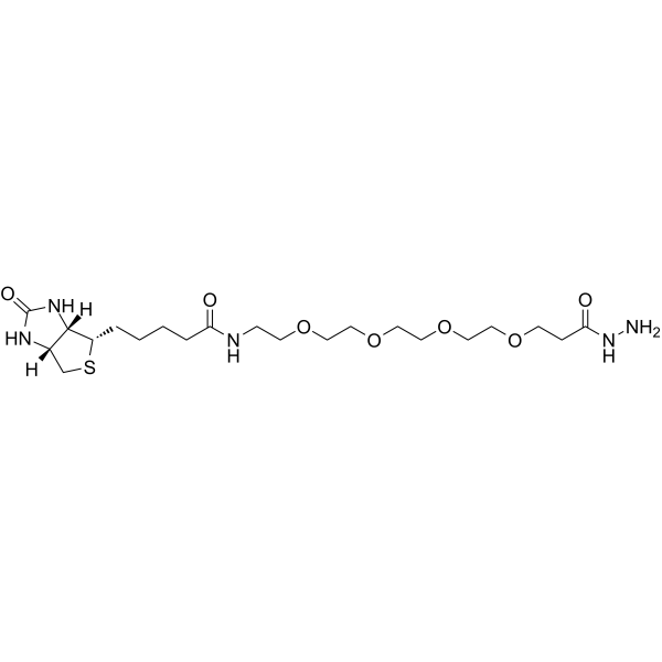 Biotin-PEG4-hydrazideͼƬ