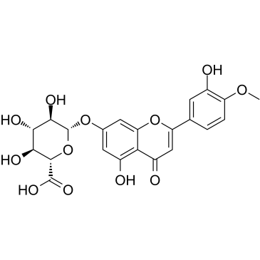 DiosMetin 7-O-β-D-GlucuronideͼƬ