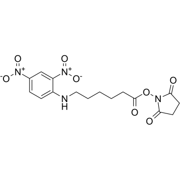 DNP-X,SEͼƬ