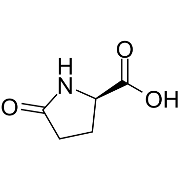 (R)-5-Oxopyrrolidine-2-carboxylic acidͼƬ