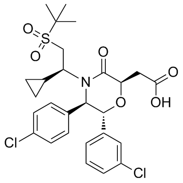 AM-8735ͼƬ