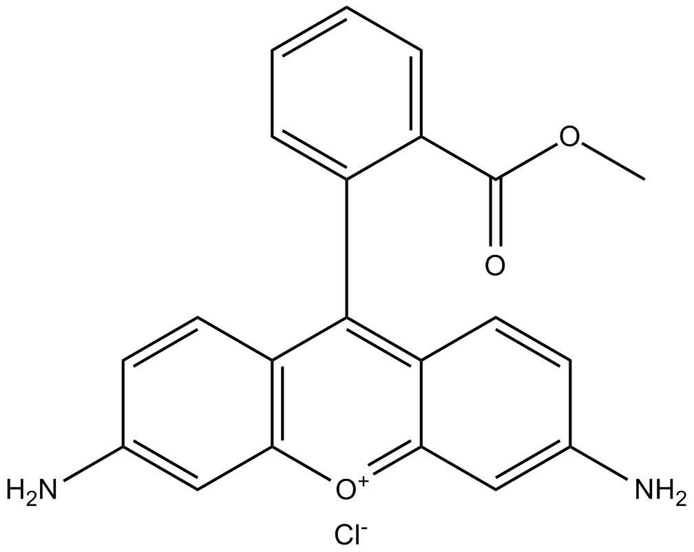 Rhodamine 123(chloride)ͼƬ