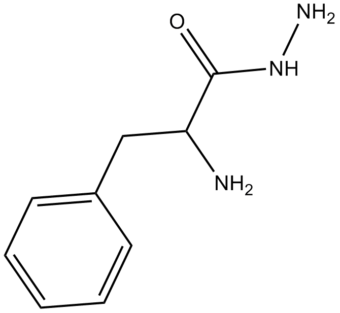 H-Phe-NHNH2ͼƬ