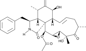 19,20-Epoxycytochalasin DͼƬ