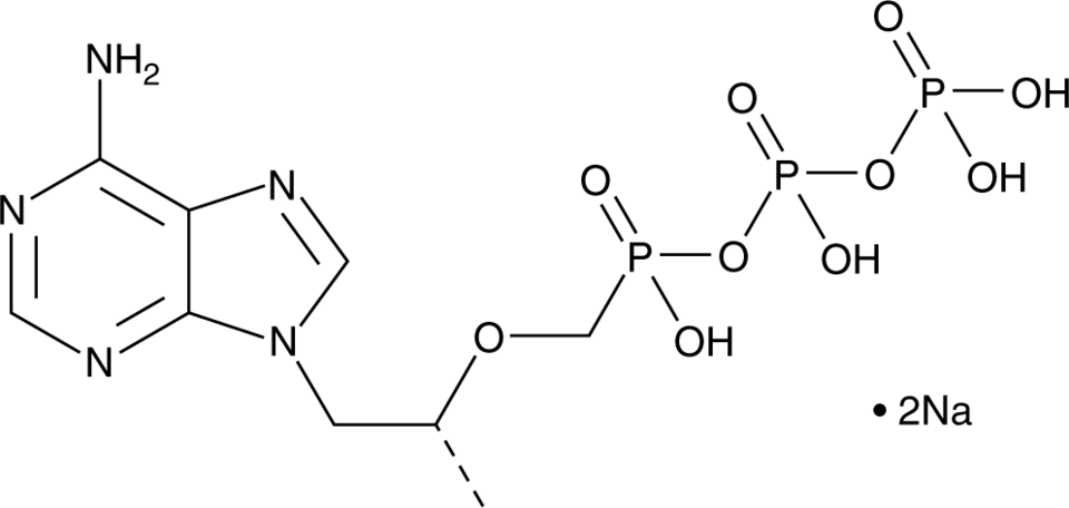 Tenofovir diphosphate(sodium salt)ͼƬ