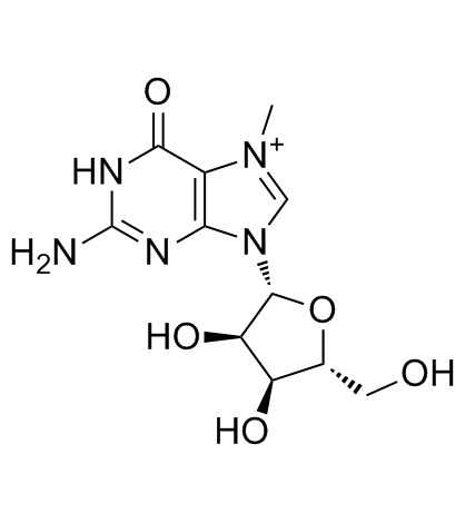 7-MethylguanosineͼƬ