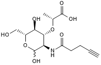 Click N-Acetylmuramic acid-alkyneͼƬ