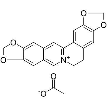 Pseudocoptisine acetateͼƬ