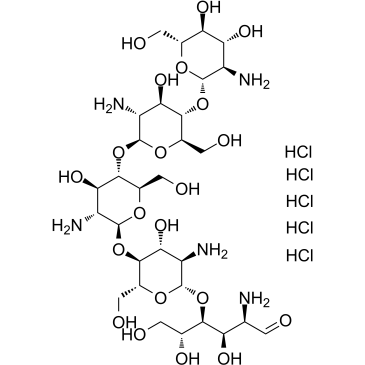 Chitopentaose pentahydrochlorideͼƬ