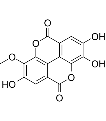 3-O-Methylellagic acidͼƬ