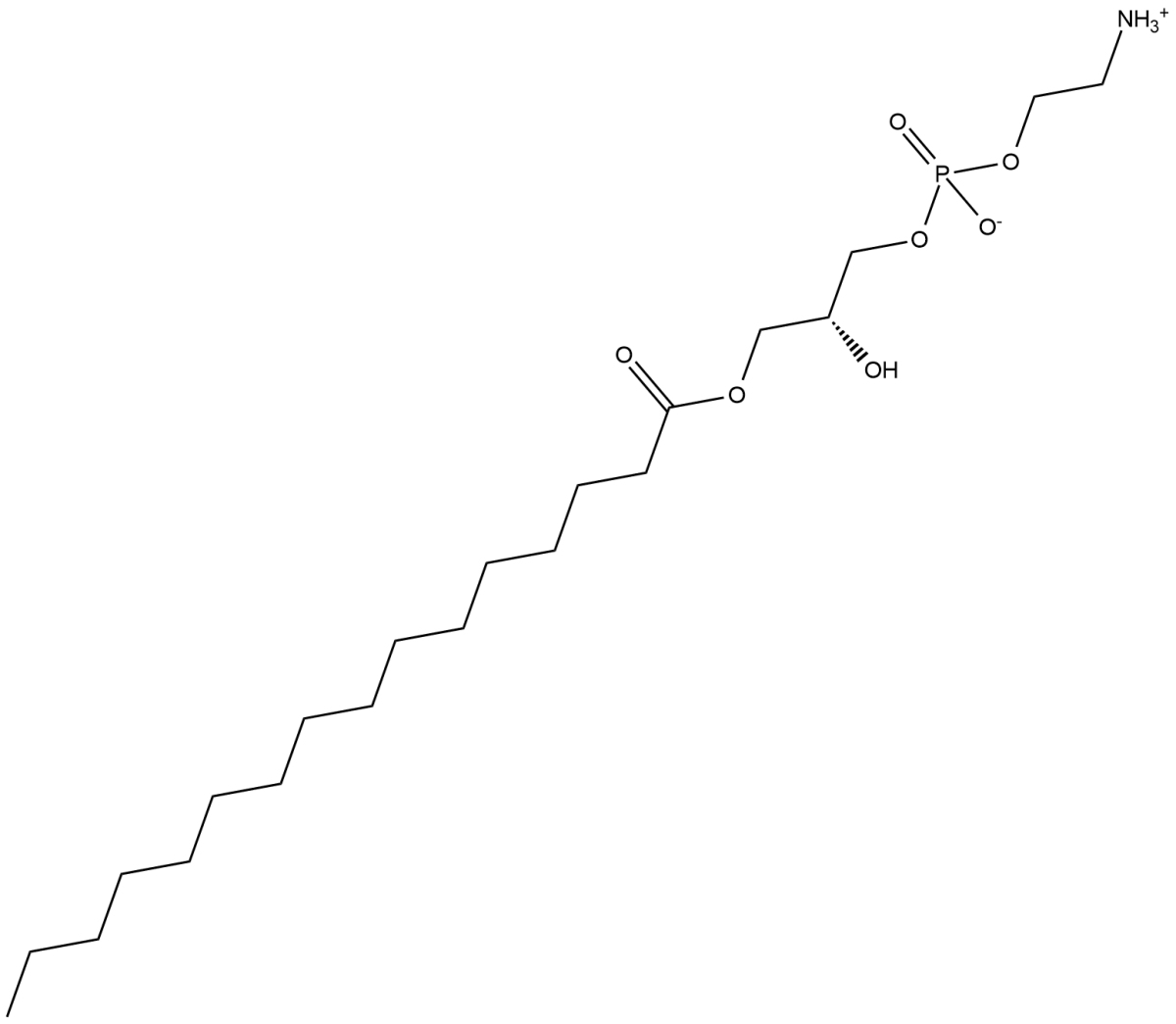 1-Palmitoyl-2-hydroxy-sn-glycero-3-PEͼƬ