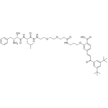 PROTAC RAR Degrader-1ͼƬ