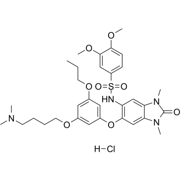 IACS-9571 hydrochlorideͼƬ