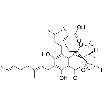 Gambogenic acidͼƬ