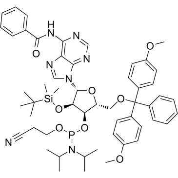 Bz-rA PhosphoramiditeͼƬ