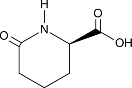 D-Pyrohomoglutamic AcidͼƬ