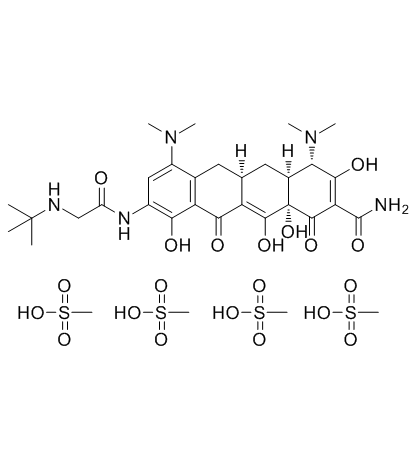 Tigecycline tetramesylateͼƬ