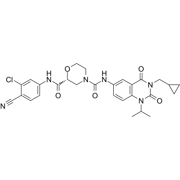 RORγt Inverse agonist 6ͼƬ