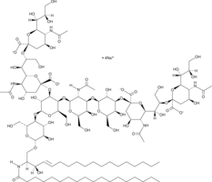 Ganglioside GQ1b Mixture(sodium salt)ͼƬ