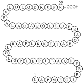 Agouti-related Protein(AGRP)(25-82),humanͼƬ