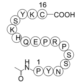 Nitric Oxide Synthase(599-613)Blocking Peptide,Bovine Endothelial CellͼƬ