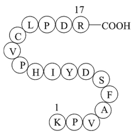 coagulation factor II(thrombin)B chain fragment [Homo sapiens]ͼƬ