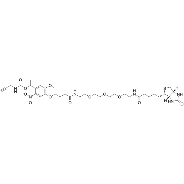 PC Biotin-PEG3-AlkyneͼƬ