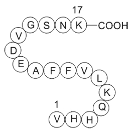 Amyloid Beta-Peptide(12-28)(human)ͼƬ